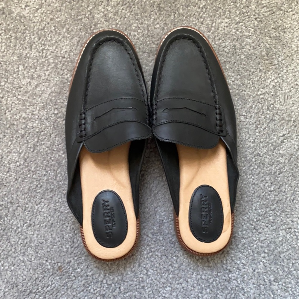 Sperry slides